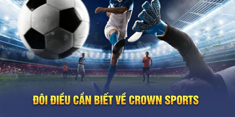 Crown Sports S666 - cá cược các môn thể thao nổi tiếng