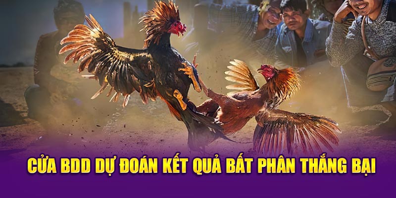 Cửa BDD dự đoán kết quả bất phân thắng bại 