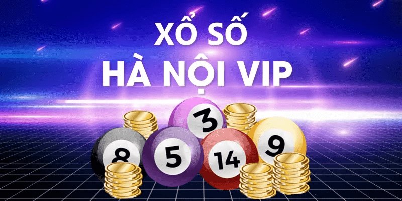 Xổ số Hà Nội VIP được nhiều người chơi cá cược lô đề tìm hiểu